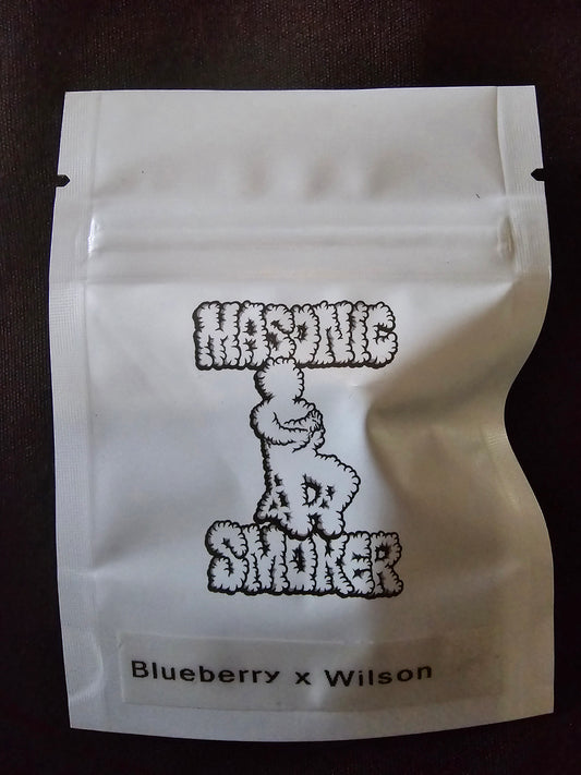 Masonic - Blueberry X Wilson