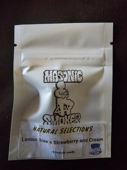 Masonic - Lemon Tree X Strawberry and Cream