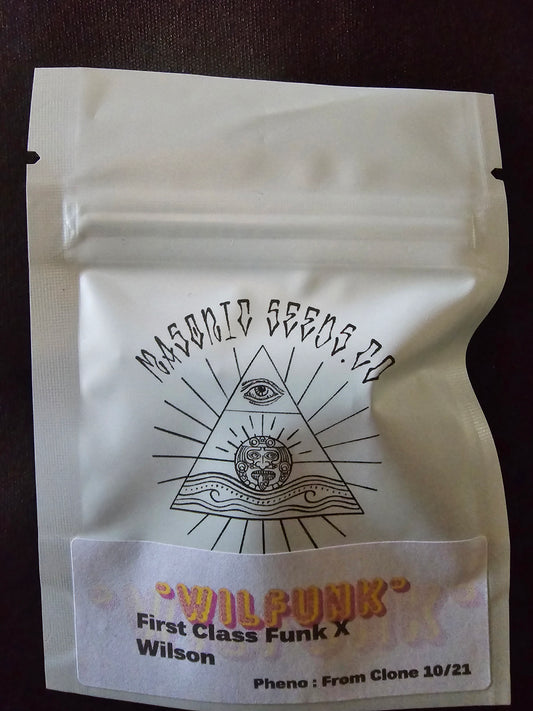 Masonic - Wilfunk