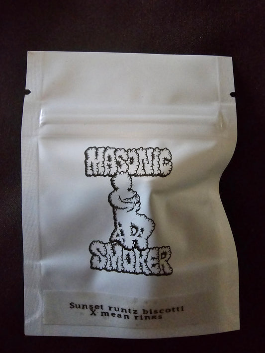 Masonic - Sunset Runtz X Biscotti X Mean Rings