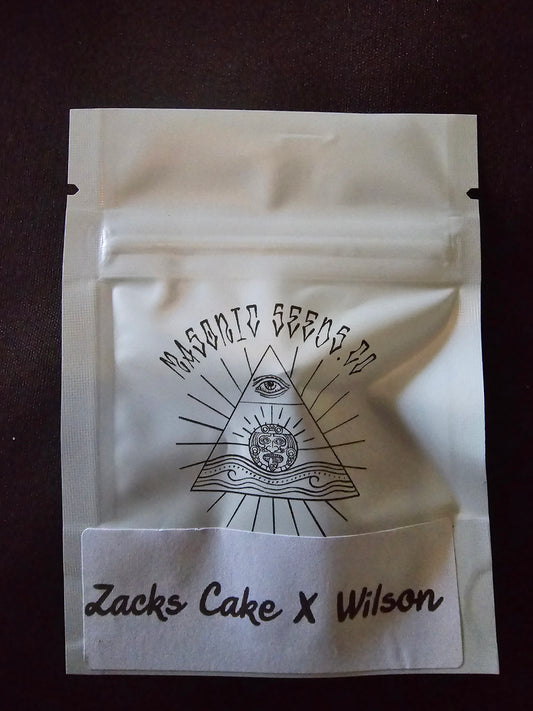 Masonic - Zack's Cake X Wilson