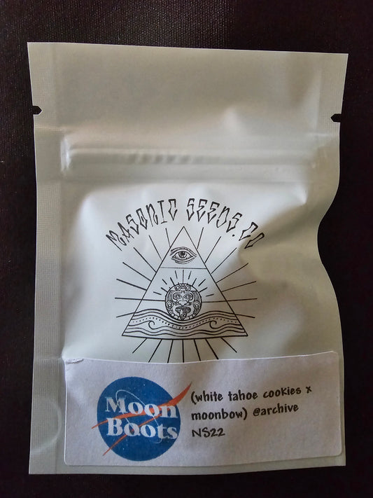 Masonic - Moonboots