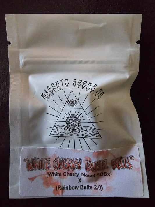 Masonic - White Cherry Diesel Belts