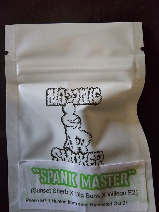 Masonic - Spank Master