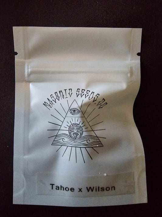 Masonic - Tahoe X Wilson