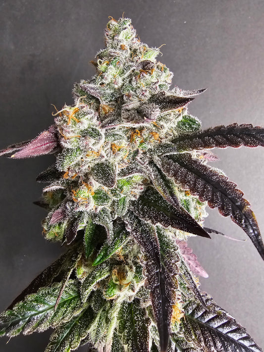 Blue Rock Candy